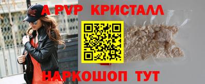 индика Новозыбков