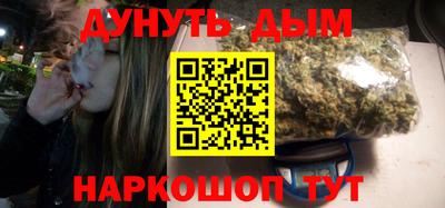 индика Новозыбков