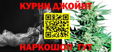 индика Новозыбков