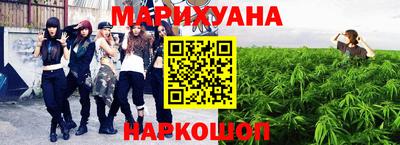 индика Новозыбков