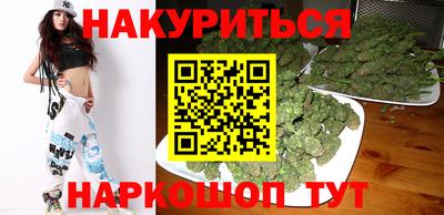индика Новозыбков