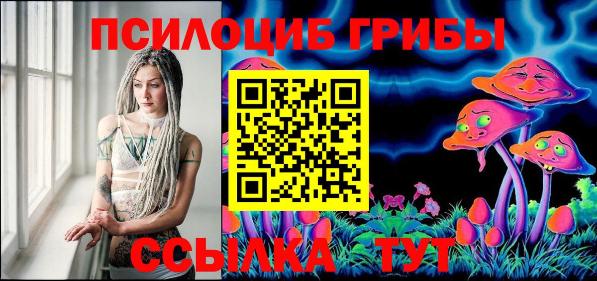 Псилоцибиновые грибы мицелий Сланцы
