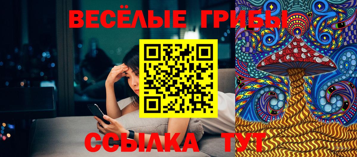 Галлюциногенные грибы Psilocybine cubensis  Вход с VPN  Сланцы 